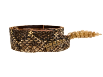 1.25" Real Rattlesnake Hat Band with Real Rattle: Black Leather Backing rattlesnake hatbands