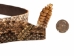 1.25" Real Rattlesnake Hat Band with Head &amp; Rattle: Open Mouth: Black Leather Backing - 598-HB204-BK (Y2LRE)