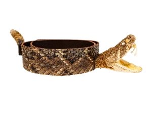 1.25" Real Rattlesnake Hat Band with Head &amp; Rattle: Open Mouth: Black Leather Backing rattlesnake hatbands