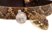 1.25" Real Rattlesnake Hat Band with Head &amp; Rattle: Closed Mouth: Black Leather Backing - 598-HB204C-BK (Y2LRE)