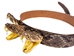 1" Real Rattlesnake Hat Band with Rattle and 3 Heads (Open Mouths) - 598-HB217 (K19)
