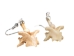 Real Rattlesnake Vertebrae Earrings (Pair) - 598-J100-P (Y1ECO3)