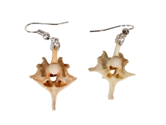 Real Rattlesnake Vertebrae Earrings (Pair) 