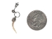 Real Rattlesnake Fang Earrings: Silver-Tone (Single) - 598-J21-S (Y2HC06)