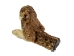 Real Rattlesnake Head: Open Mouth: Large - 598-P517L (Y1EC01)