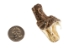 Real Rattlesnake Head: Open Mouth: Small - 598-P517S (Y1EC01)