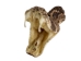 Real Rattlesnake Head: Open Mouth: Small - 598-P517S (Y1EC01)