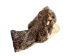 Real Rattlesnake Head: Open Mouth: Small - 598-P517S (Y1EC01)