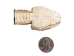 Real Rattlesnake Head: Closed Mouth: Medium - 598-P518M (Y1EC02)