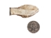 Real Rattlesnake Head: Closed Mouth: Small - 598-P518S (Y1EC02)