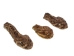 Real Rattlesnake Head: Closed Mouth: Small - 598-P518S (Y1EC02)