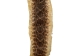 Rattlesnake Skin with Rattle: 38" to 43" including rattle - 598-SKV-UN