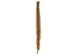 Rattlesnake Skin with Rattle: 38" to 43" including rattle - 598-SKV-UN