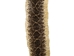 Rattlesnake Skin with No Rattle: 38" to 43" - 598-SRV-AS