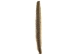 Rattlesnake Skin with No Rattle: 38" to 43" - 598-SRV-AS
