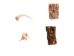 Real Rattlesnake Talisman (Fang Tip, Vertebra, Skin) - 598-TA01 (Y2L)