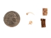 Real Rattlesnake Talisman (Fang Tip, Vertebra, Skin) - 598-TA01 (Y2L)