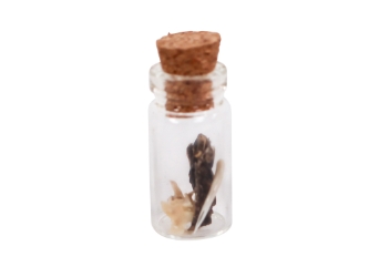 Real Rattlesnake Talisman (Fang Tip, Vertebra, Skin) 