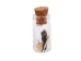 Real Rattlesnake Talisman (Fang Tip, Vertebra, Skin) - 598-TA01 (Y2L)