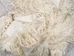Angora Goat Fur Scrap (lb) - 66-A-SCRAP (10UB06)