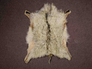 Angora Goatskin: #1: Medium: Multi-Color: Assorted 