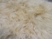 Cashmere Goatskin: Small - 66-CS-AS (Y2H)