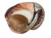 Polished Turbo Sarmaticus Shell: Large - 672-P-L (Y1MC17)(Y3L)