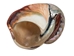 Polished Turbo Sarmaticus Shell: Large - 672-P-L (Y1M)
