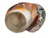 Polished Turbo Sarmaticus Shell: Extra Large - 672-P-XL (Y3LRB)