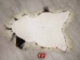 Icelandic Sheepskin: Piebald: 110-120cm or 44" to 48" - 7-204-AS (Y1L)