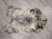 Icelandic Sheepskin: Gray: 120-130cm or 48" to 52" - 7-305-AS (Y1LRT)