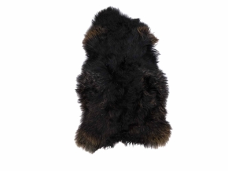 Icelandic Sheepskin: Blacky Brown: 130-140cm or 52" to 56" 