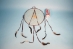 Navajo Dreamcatcher with Glass Beads: 12" - 70-12G (Y1MC14)