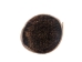 Horse Root Hair: Brown: 5" to 7" (8 oz) - 702-BRTR5-8 (Y1K)