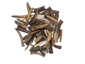 Caribou Antler Tip: Medium (lb) 