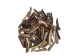 Caribou Antler Tip: Small (lb) - 74-10-S (Y2HC02)