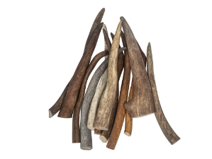 Caribou Antler Tip: Extra Extra Large (lb) 
