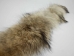 Coyote Fur Collar: 3" by 35" - 781-3X35 (Y2ORP)
