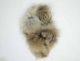 Coyote Fur Collar: 3" by 35" - 781-3X35 (Y2ORP)