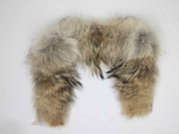 Coyote Fur Collar: 3" by 35" 