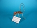 African Wire-Wrap Gecko Card Holder - 861-CH (10UF)