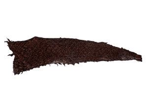 Glazed Carp Leather: Medium Chocolate 