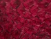 Glazed Carp Leather: Sea Urchin - 870-4G-03 (8UR7)