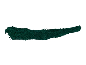 Glazed Carp Leather: Jaguar Green 