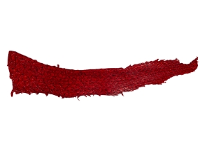 Glazed Carp Leather: Scarlet 