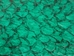 Glazed Carp Leather: Mermaid Green - 870-4G-13 (8UR7)