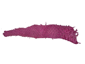 Glazed Carp Leather: Pink Mauve 