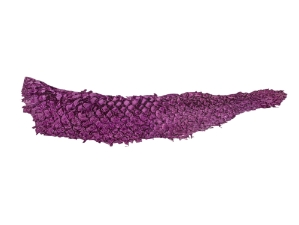 Glazed Carp Leather: Dark Mauve 