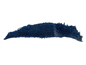 Glazed Carp Leather: Deep Blue Lagoon 