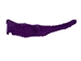 Glazed Carp Leather: Purple  - 870-4G-42 (8UR7)